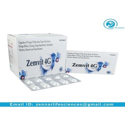 ZEMVIT-4G
